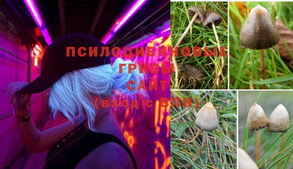 тгк Беломорск