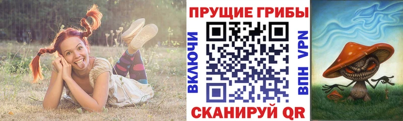 маркетплейс официальный сайт  Красноуральск  Галлюциногенные грибы Psilocybine cubensis  наркота  ссылка на мегу сайт 